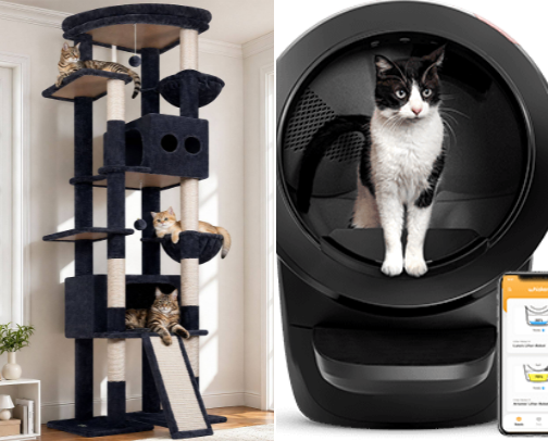 Must have cat products every cat parents needs cover photo collage