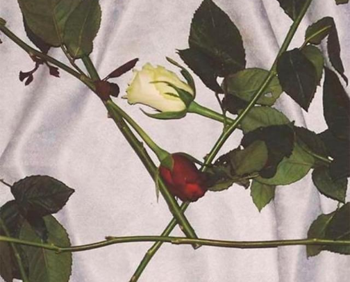 My fave sad boy chill cover photo collage