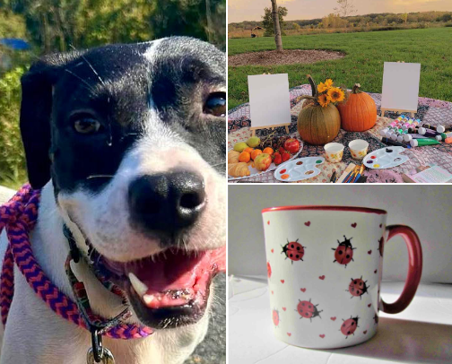 When You Don’t Know What To Do cover photo collage