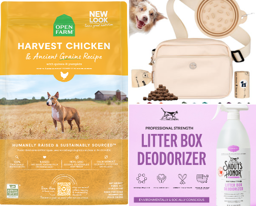 Healthy Paws cover photo collage