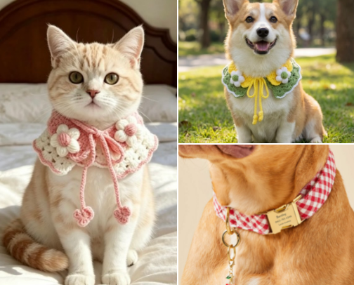 Pet collar for your lovely pet🥨 cover photo collage