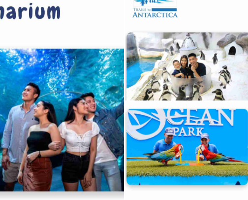 Secrets of the Sea: Manila Ocean Park cover photo collage