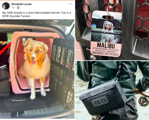 Car Safety and Setup cover photo collage