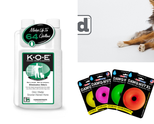 Must haves for Dog Owners cover photo collage