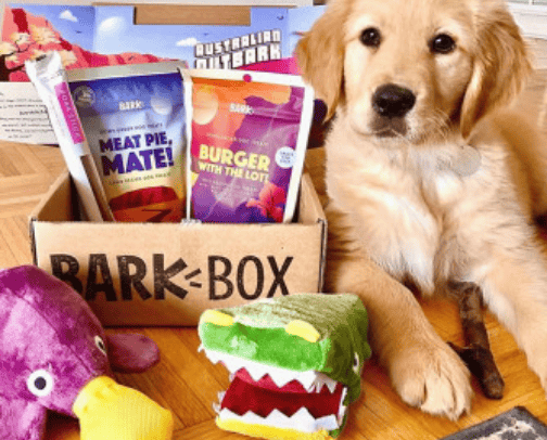 Pet🐕🐠🦜 cover photo collage