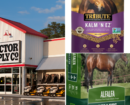 Horse Feed and Bedding cover photo collage