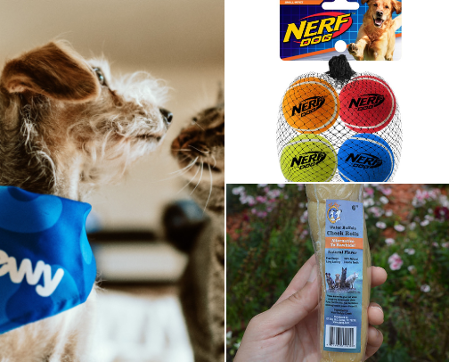 Red Rover Red Rover send all these dog things over! cover photo collage