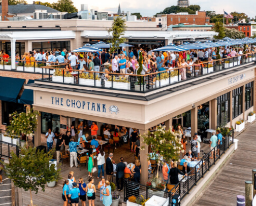 My top Annapolis recs cover photo collage