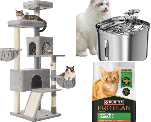 Cat products that your baby will love! cover photo collage