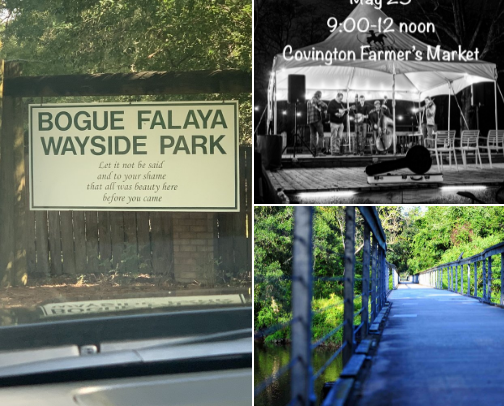 My new list cover photo collage