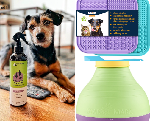 Dog Mom Must Haves cover photo collage