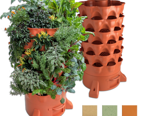 Daydreaming of Spring cover photo collage