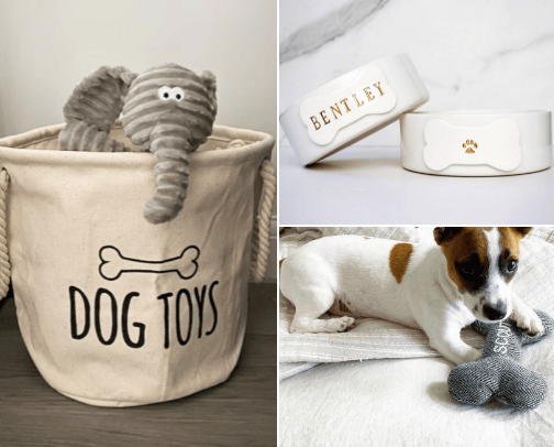 Cute dog supplies🦴🐶 cover photo collage