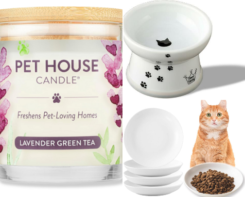 The Aesthetic & Toxin-Free Cat Lady Guide cover photo collage
