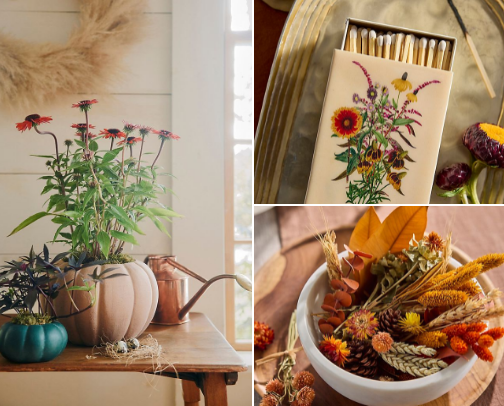 Anthropologie Autumn Cottagecore | Cozy Fall Home Decor & Vintage-Inspired Finds cover photo collage