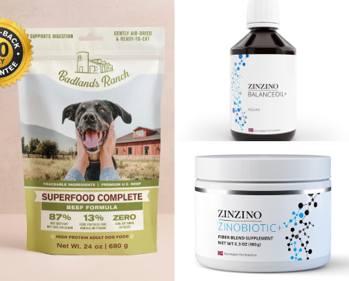 Dog Wellness Routine cover photo collage