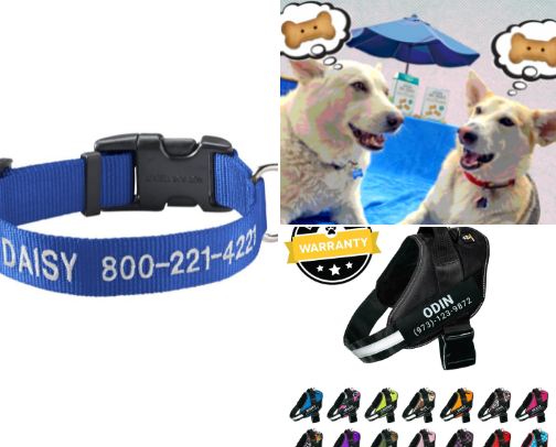 Love My Dog! cover photo collage