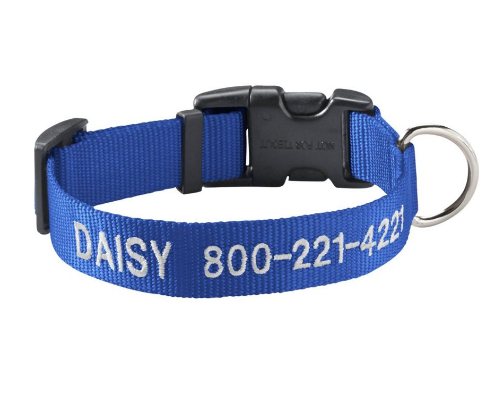 Love My Dog! cover photo collage