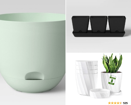 Plant Needs cover photo collage