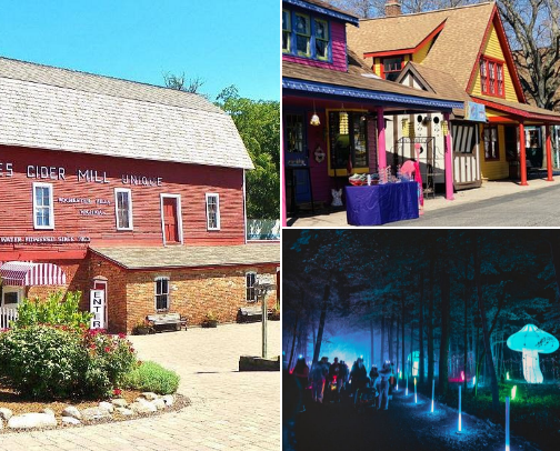 All things Fall 🍁🍎 cover photo collage