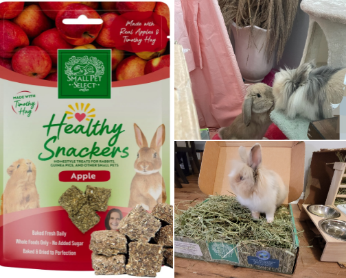 A Pampered Rabbit cover photo collage