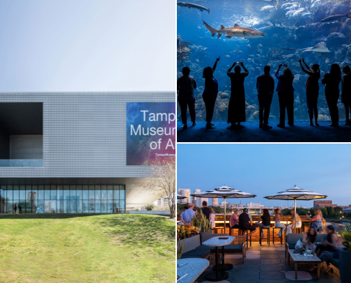 Your Tampa Itinerary cover photo collage