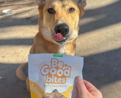 Best Training Treats cover photo collage