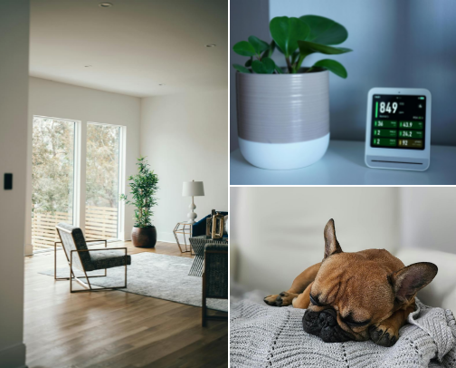 Smart Home Air Quality: High-CADR Purifiers for Removing Smoke and Allergens cover photo collage