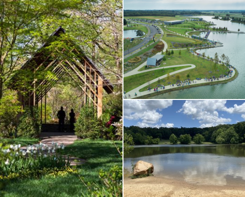 Discover Memphis cover photo collage