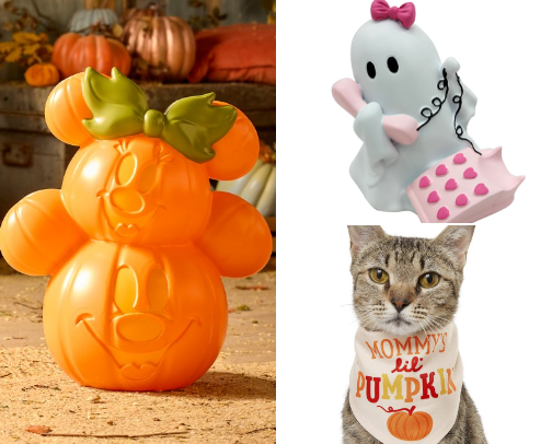 Spending my paycheck for the cute fall girl aesthetic 🎀🍁 cover photo collage