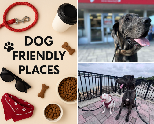Dog Freindly Places cover photo collage