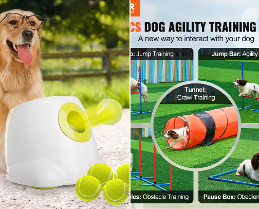 Fun Products For High Energy Dogs cover photo collage