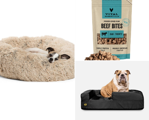 Pet Recs /Dog cover photo collage