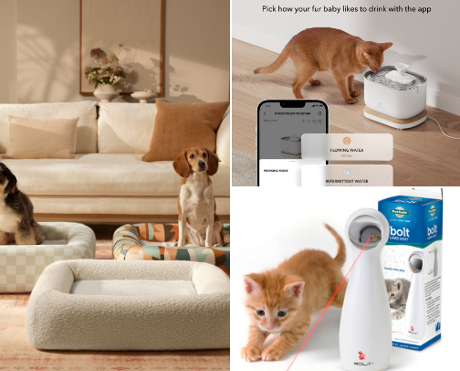 Bringing home a Dog or a Cat? cover photo collage