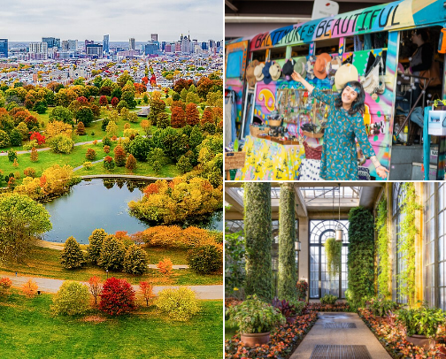 Baltimore! cover photo collage