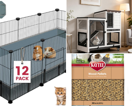 Bunny necessities cover photo collage