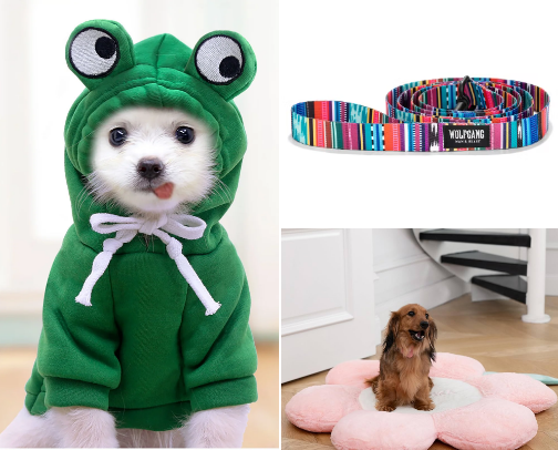 All things for small dogs cover photo collage