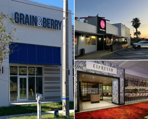 My top local recs cover photo collage