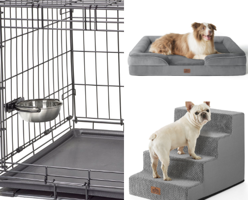 For Your Furry Family Members 🐾 cover photo collage