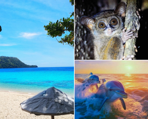 North Sulawesi Bucket List: Best Places & Activities🌴 cover photo collage