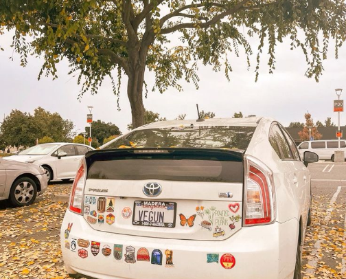 Bumper stickers cover photo collage