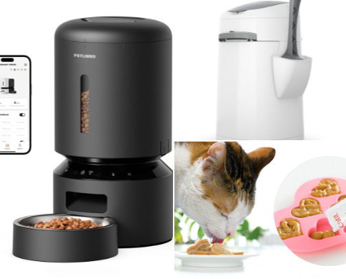 Cat things cover photo collage