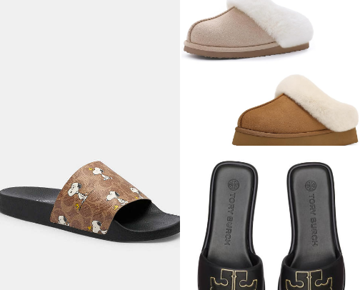 Slides and Slippers: The Comfy Chronicles cover photo collage