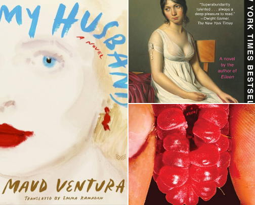 Favorite Unhinged Female Protagonist Books cover photo collage