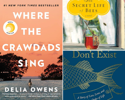 Books to read (as a non-reader!) cover photo collage