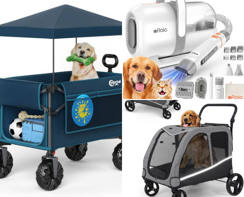 Golden Must-Haves: From Puppy to Pro cover photo collage