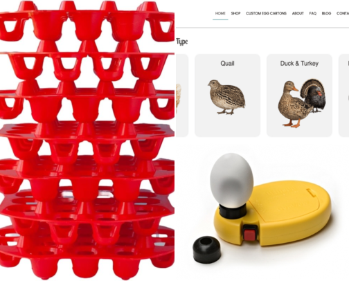 Egg Handling and Poultry Processing Resources cover photo collage
