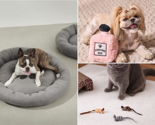 🐶 Pet Essentials That Are Cute + Actually Useful🐶 cover photo collage