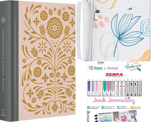 Bibles and study Bible journals cover photo collage