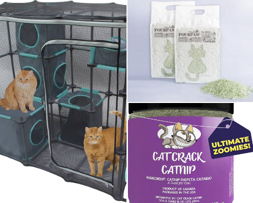 Cat items cover photo collage